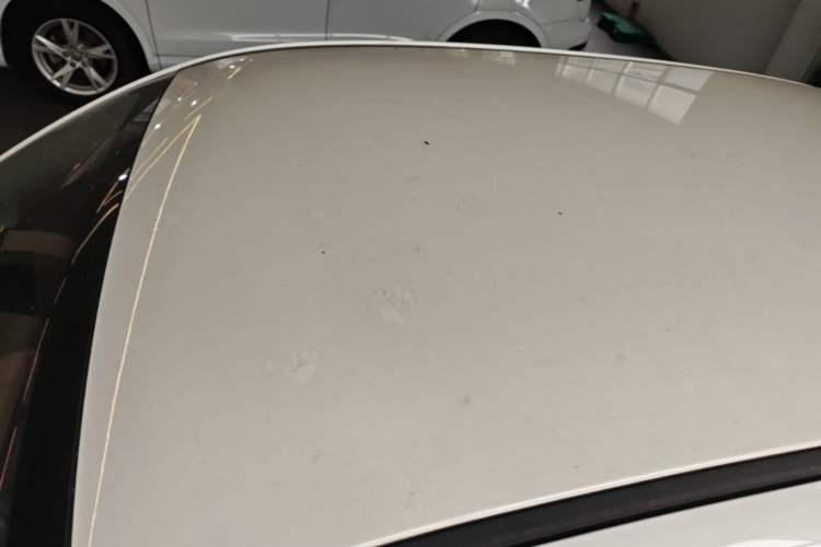 Used ORA Black Cat 2021 301 km Basic Version Roof