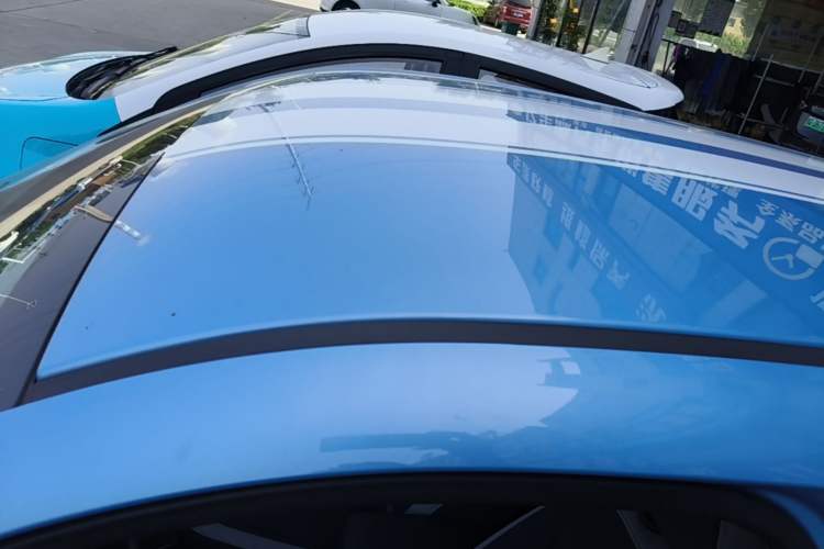 Used ORA Black Cat 2021 301 km Basic Version Roof