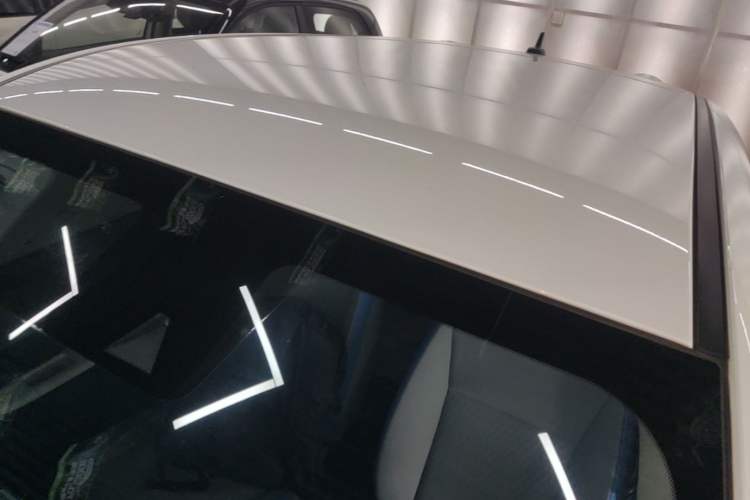 Used ORA Black Cat 2021 351 km Luxury Version Roof