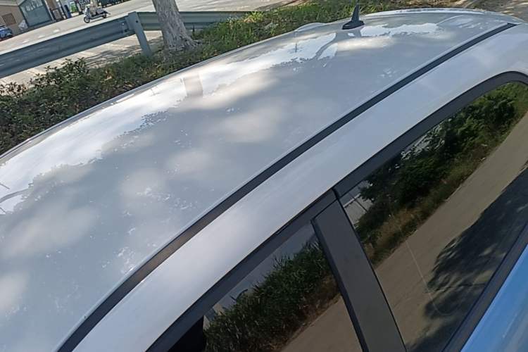 Used ORA Black Cat 2021 301km Cute Pet Edition Roof