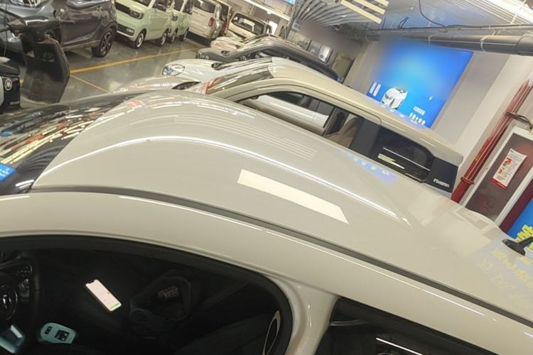 Used ORA Black Cat 2021 351 km Luxury Version Roof
