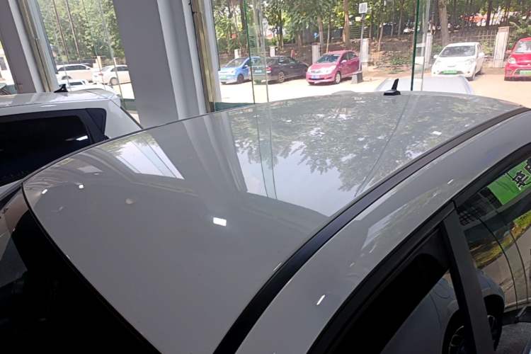 Used ORA Black Cat 2021 351 km Standard Version Roof