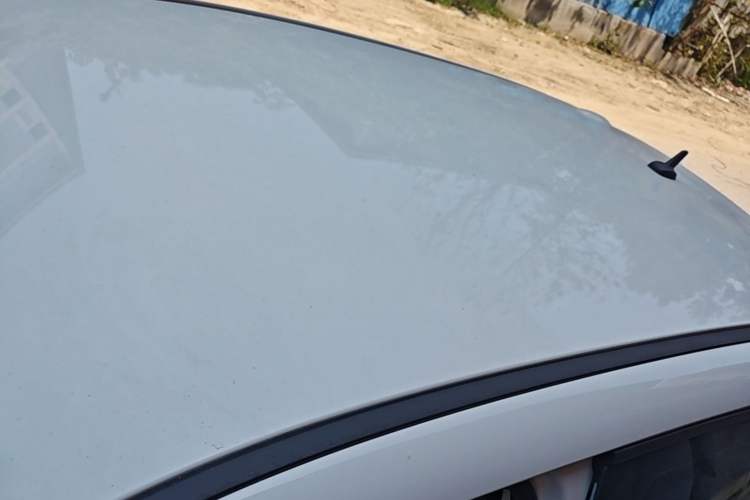 Used ORA Black Cat 2021 351 km Luxury Version Roof