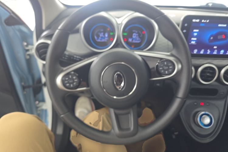 Used ORA Black Cat 2021 351 km Standard Version Steering Wheel