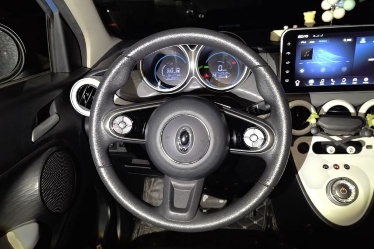 Used ORA Black Cat 2021 351 km Standard Version Steering Wheel