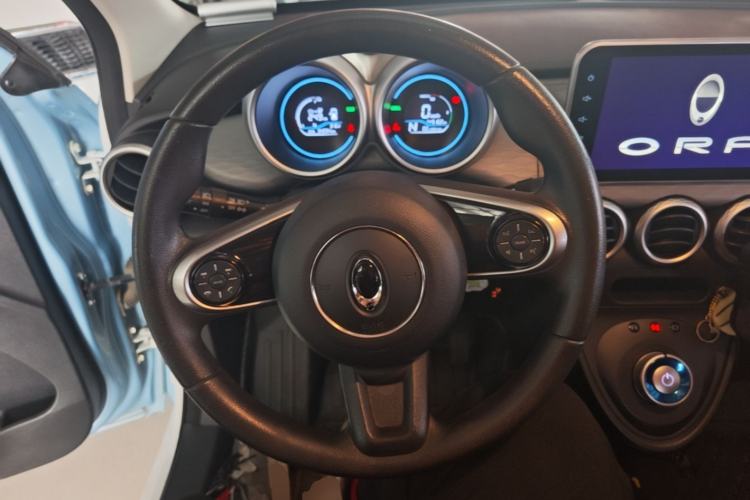 Used ORA Black Cat 2021 301 km Basic Version Steering Wheel