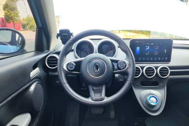 Used ORA Black Cat 2021 301 km Basic Version Steering Wheel