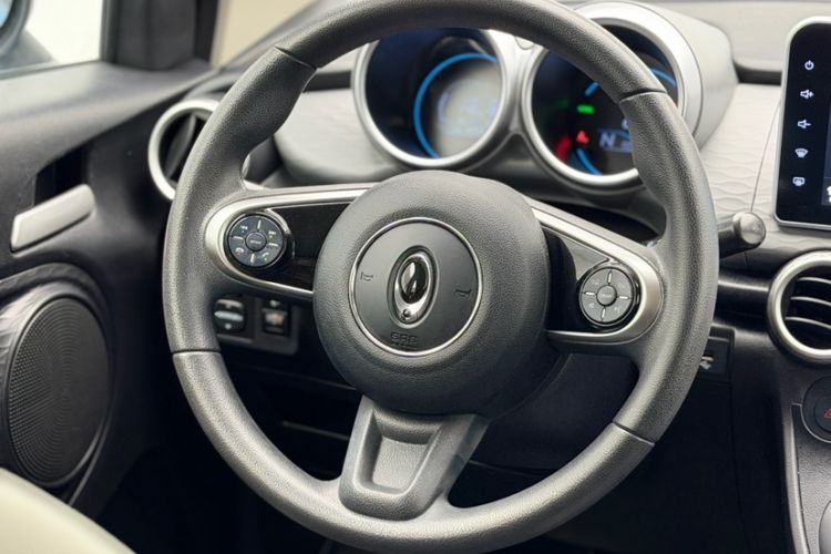 Used ORA Black Cat 2021 301 km Basic Version Steering Wheel