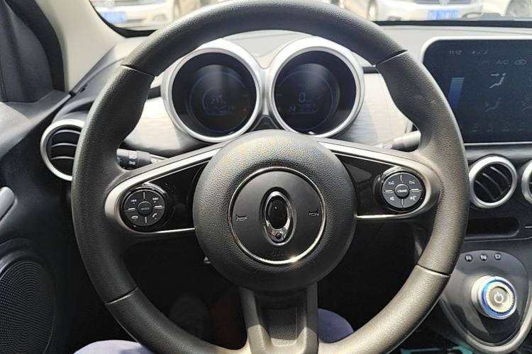 Used ORA Black Cat 2021 301 km Basic Version Steering Wheel