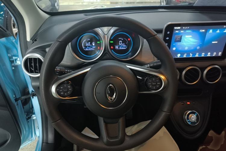 Used ORA Black Cat 2021 351 km Standard Version Steering Wheel