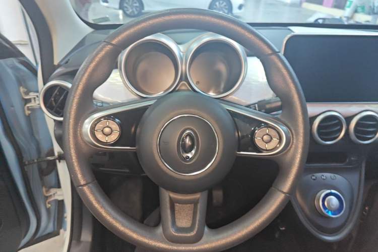 Used ORA Black Cat 2021 351 km Luxury Version Steering Wheel