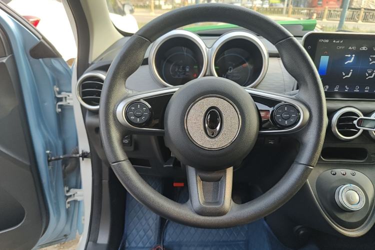 Used ORA Black Cat 2021 351 km Standard Version Steering Wheel
