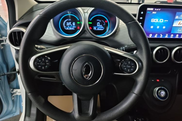 Used ORA Black Cat 2021 301 km Basic Version Steering Wheel