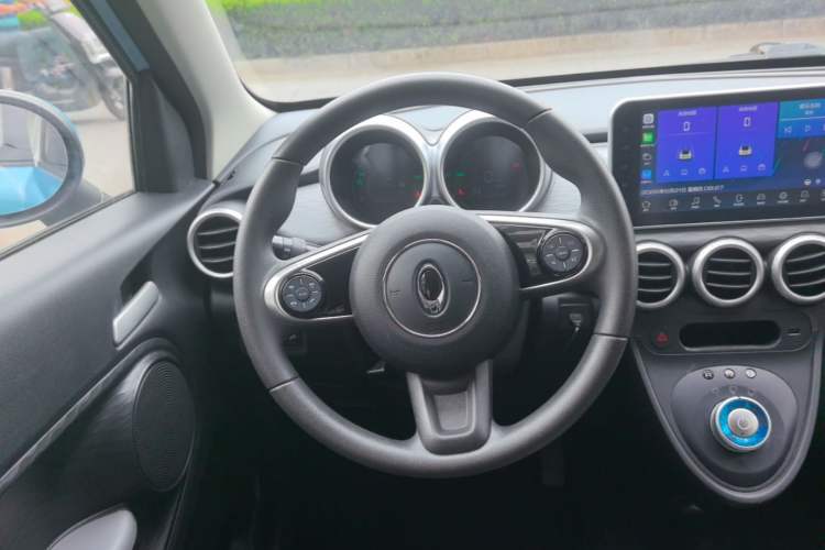 Used ORA Black Cat 2021 301 km Basic Version Steering Wheel