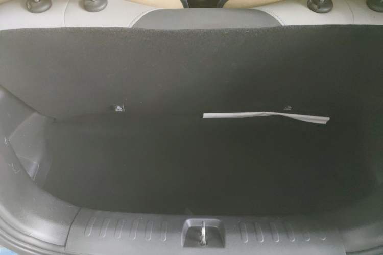 Used ORA Black Cat 2021 301 km Basic Version Trunk