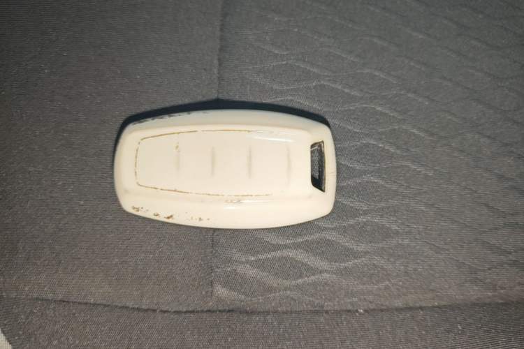 Used ORA Black Cat 2021 301 km Basic Version Vehicle Key