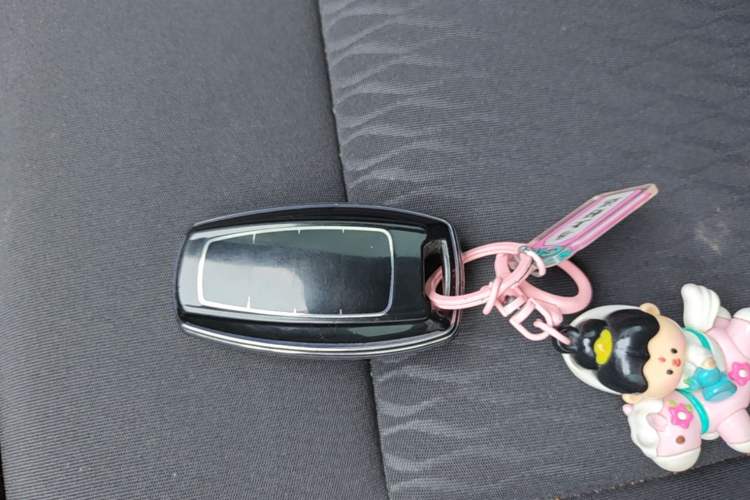 Used ORA Black Cat 2021 301 km Basic Version Vehicle Key