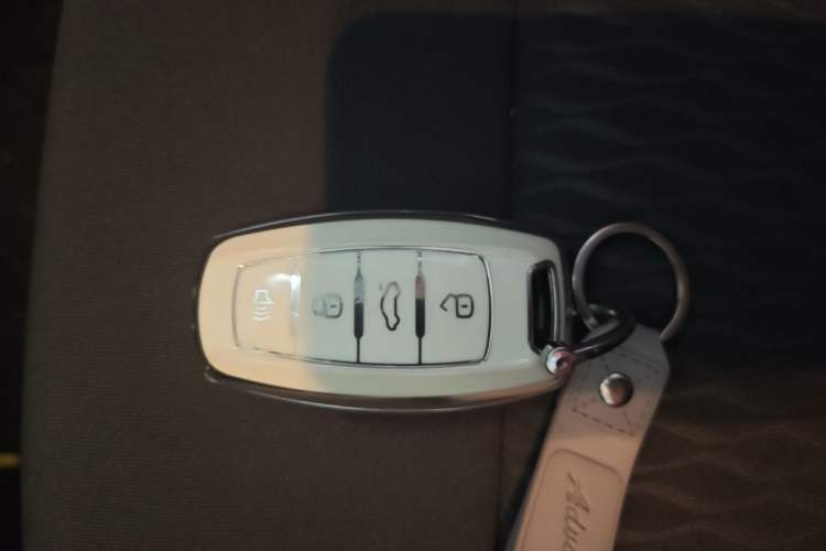Used ORA Black Cat 2021 301 km Basic Version Vehicle Key