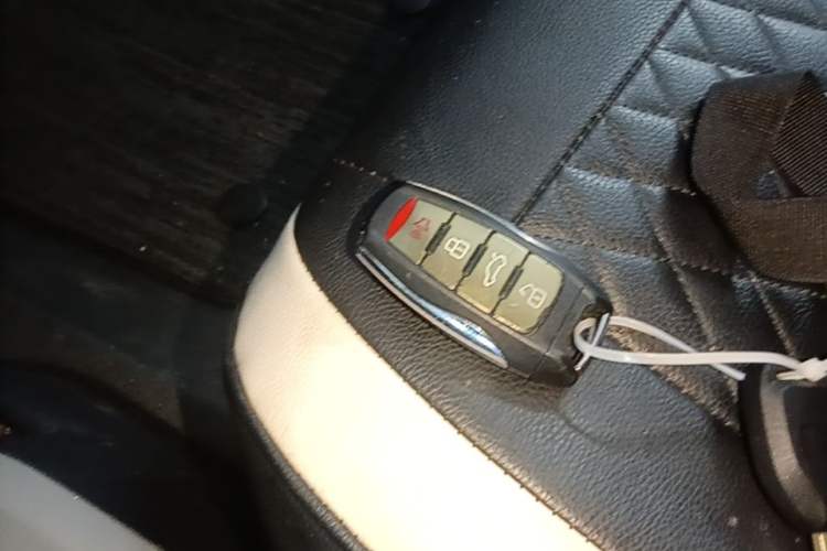 Used ORA Black Cat 2021 301 km Basic Version Vehicle Key