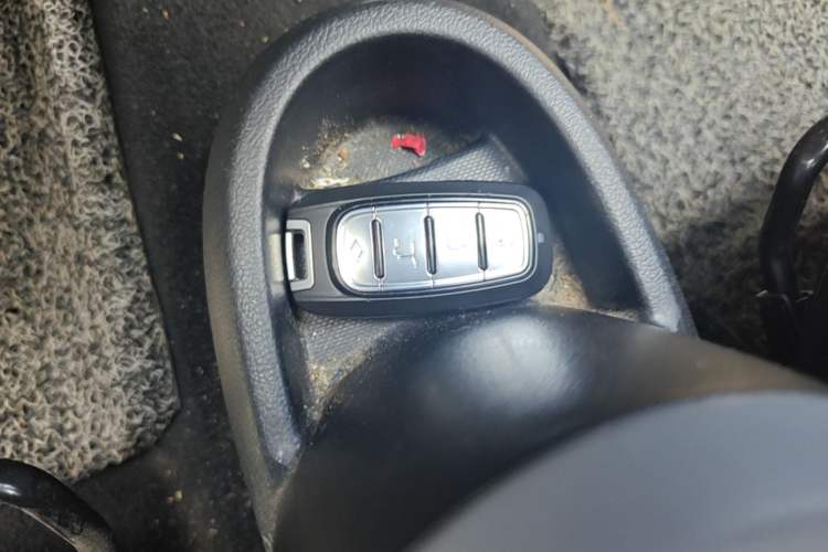 Used ORA Black Cat 2021 301 km Basic Version Vehicle Key