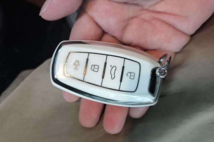 Used ORA Black Cat 2021 351 km Standard Version Vehicle Key