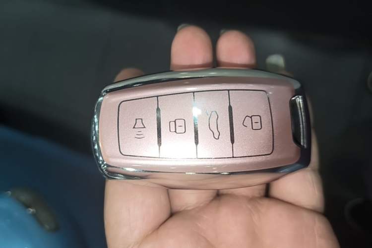 Used ORA Black Cat 2021 351 km Luxury Version Vehicle Key