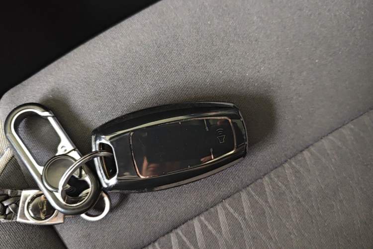Used ORA Black Cat 2021 301 km Basic Version Vehicle Key