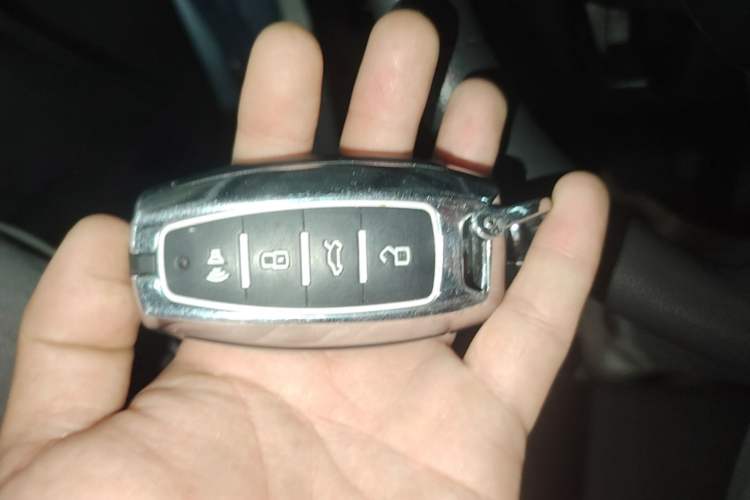 Used ORA Black Cat 2021 301 km Basic Version Vehicle Key