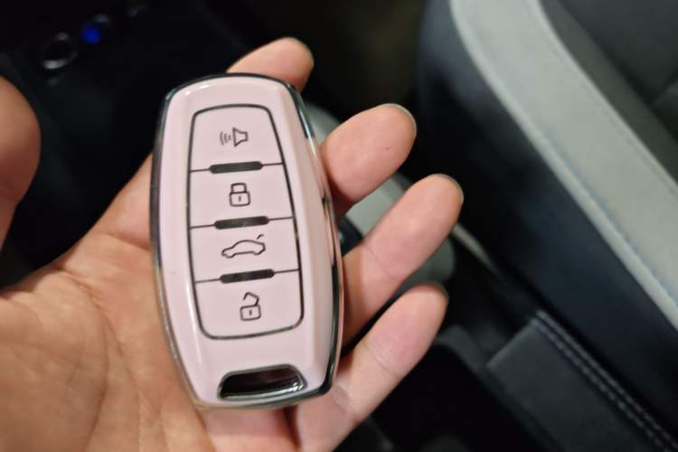 Used ORA Black Cat 2021 301 km Basic Version Vehicle Key