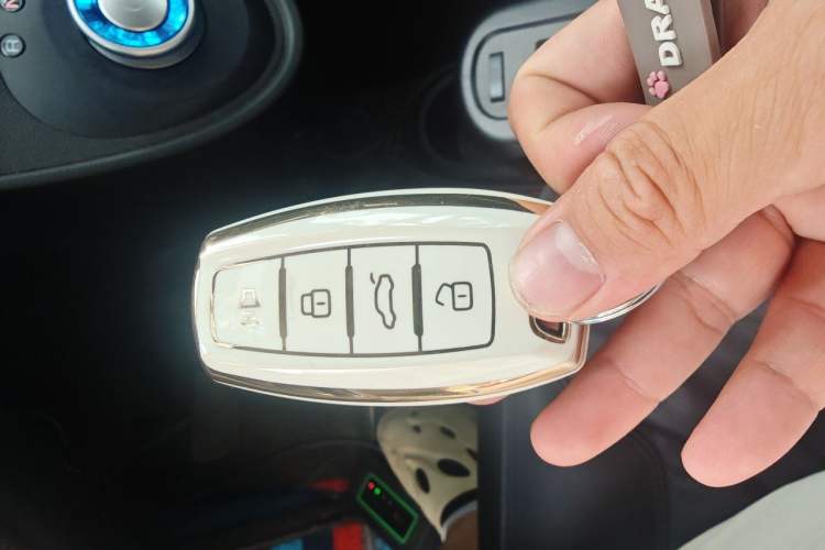 Used ORA Black Cat 2021 351 km Standard Version Vehicle Key
