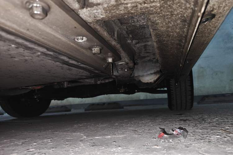 Used ORA Black Cat 2021 301km Cute Pet Edition Chassis Front Right