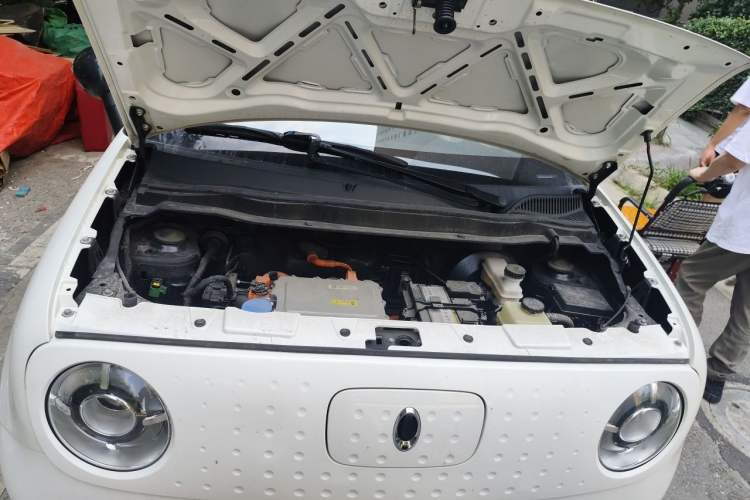 Used ORA Black Cat 2021 351 km Luxury Version Engine Bay