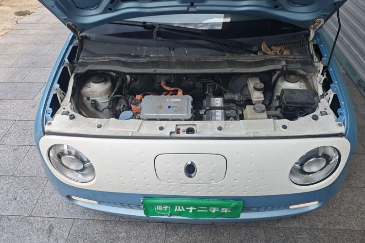 Used ORA Black Cat 2021 351 km Standard Version Engine Bay