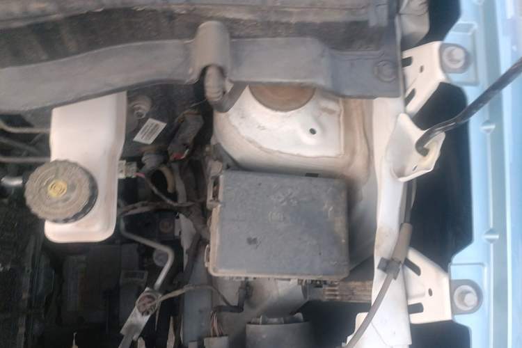 Used ORA Black Cat 2021 351 km Luxury Version Engine Bay Left