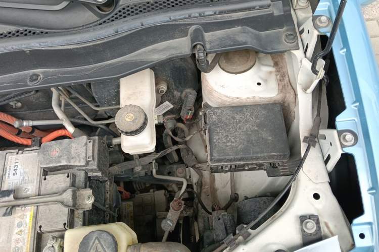 Used ORA Black Cat 2021 301km Cute Pet Edition Engine Bay Left