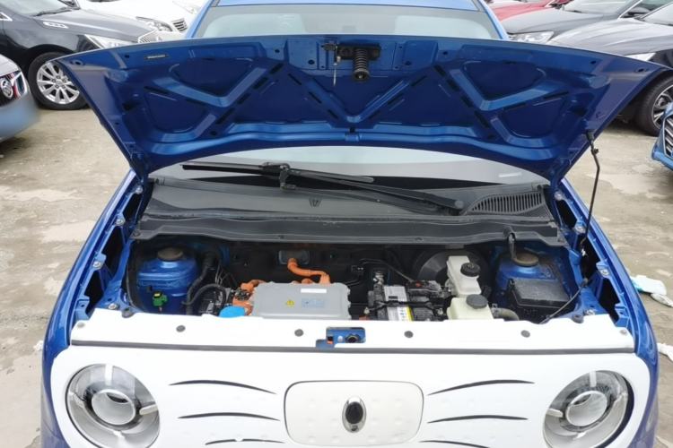 Used ORA Black Cat 2021 351 km Standard Version Engine Bay