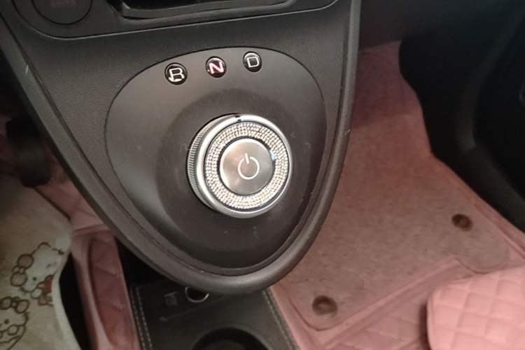 Used ORA Black Cat 2021 351 km Luxury Version Gear Lever