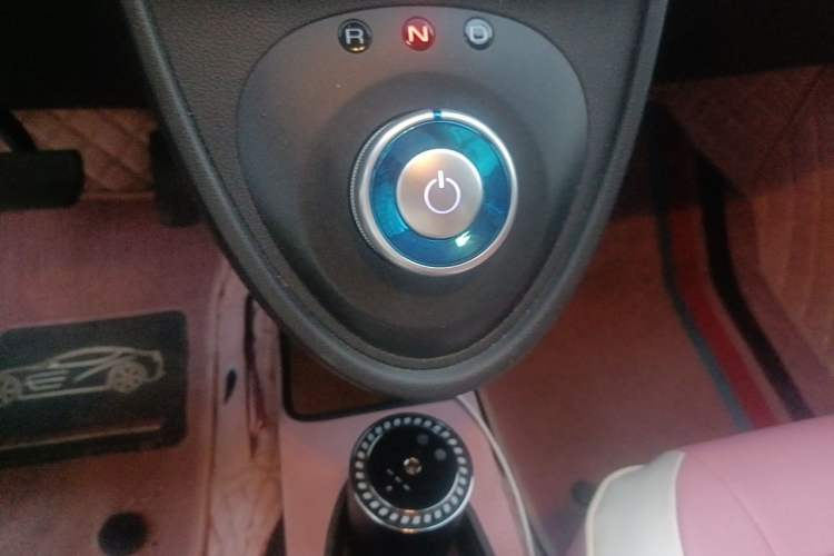 Used ORA Black Cat 2021 351 km Luxury Version Gear Lever