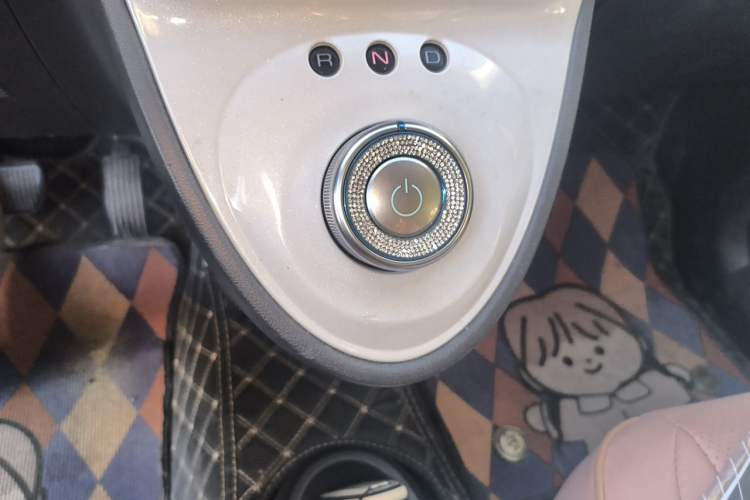 Used ORA Black Cat 2021 301 km Basic Version Gear Lever