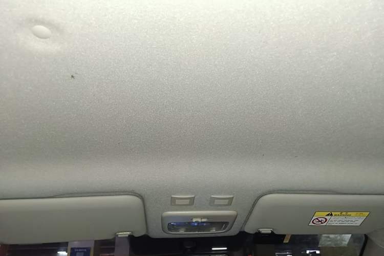 Used ORA Black Cat 2021 301 km Basic Version Headliner