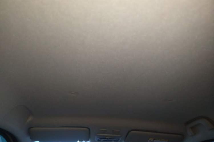 Used ORA Black Cat 2021 301 km Basic Version Headliner