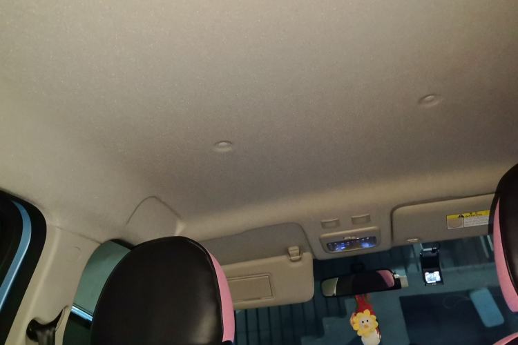 Used ORA Black Cat 2021 301 km Basic Version Headliner