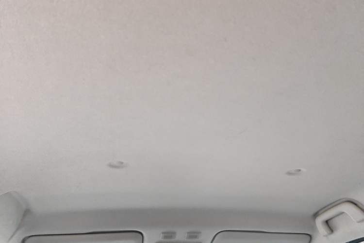 Used ORA Black Cat 2021 301 km Basic Version Headliner