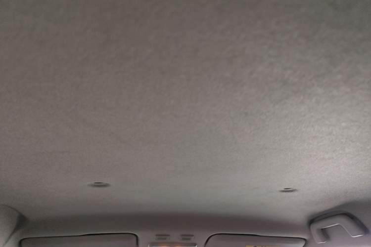 Used ORA Black Cat 2021 351 km Standard Version Headliner