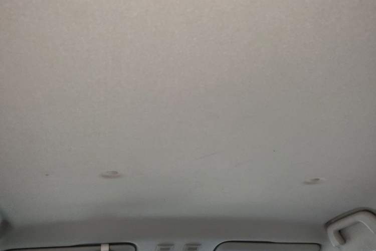 Used ORA Black Cat 2021 301 km Basic Version Headliner