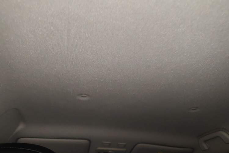 Used ORA Black Cat 2021 301 km Basic Version Headliner