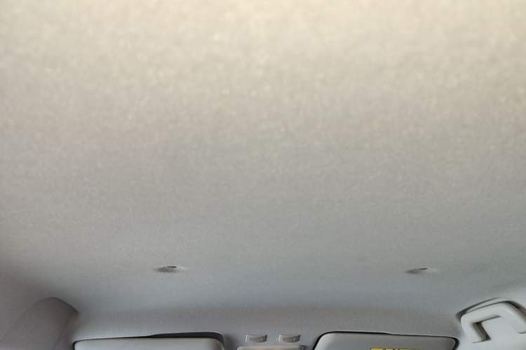 Used ORA Black Cat 2021 301 km Basic Version Headliner