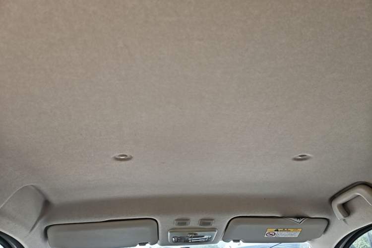 Used ORA Black Cat 2021 351 km Standard Version Headliner