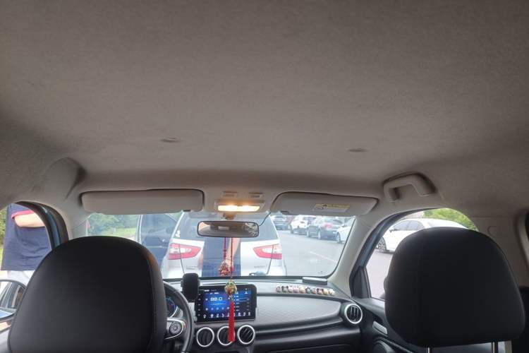Used ORA Black Cat 2021 351 km Standard Version Headliner