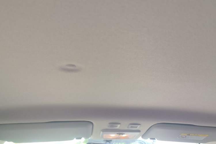 Used ORA Black Cat 2021 351 km Standard Version Headliner